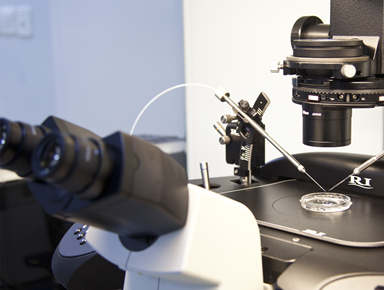 辅助生殖实验室